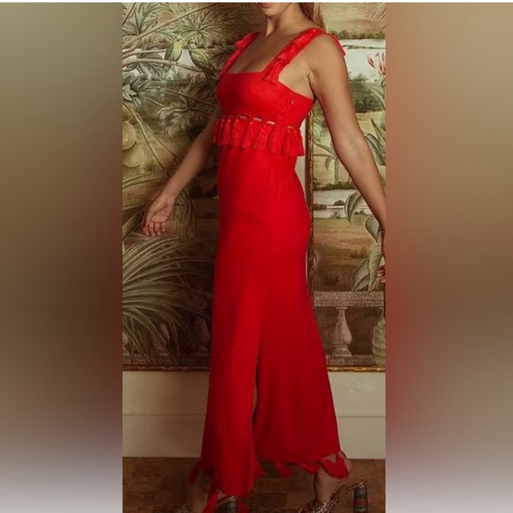 NWT Antonio Melani x The Nat Note Cici Tassel Linen blend Maxi Dress Size 16 - Picture 8 of 9